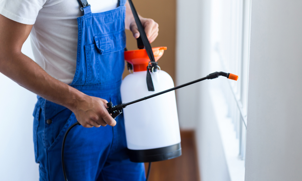 Green Pest Control gallery